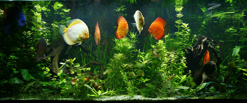 test-583.jpg