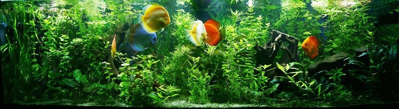 test-736.jpg