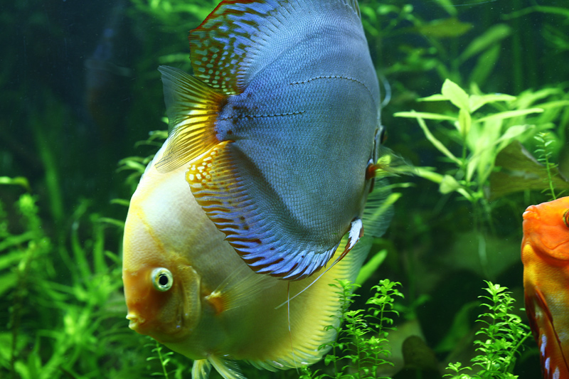 test-774.jpg