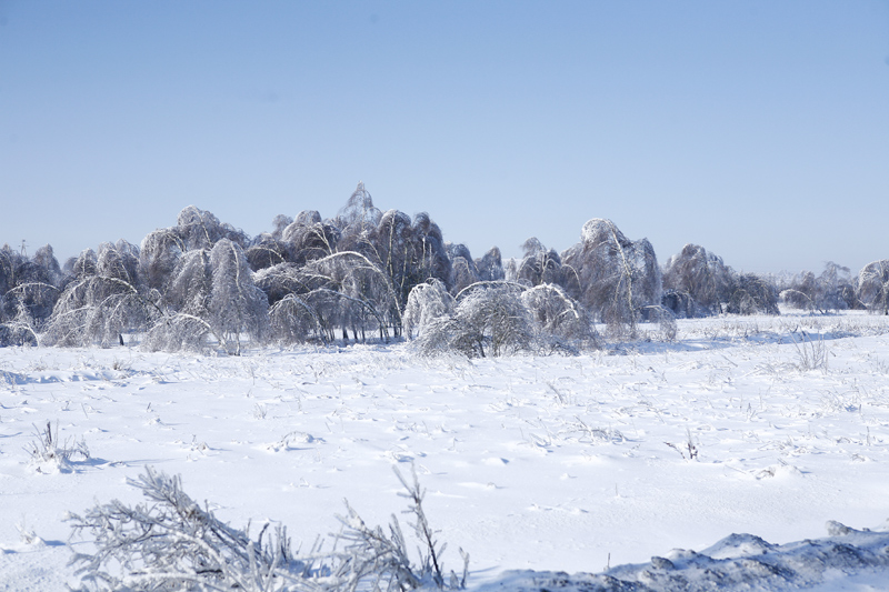 test-894.jpg