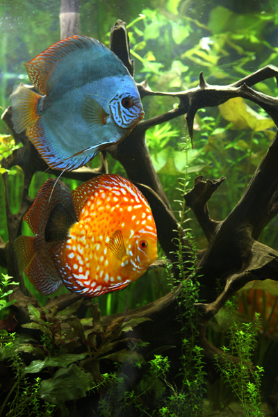 test-024.jpg