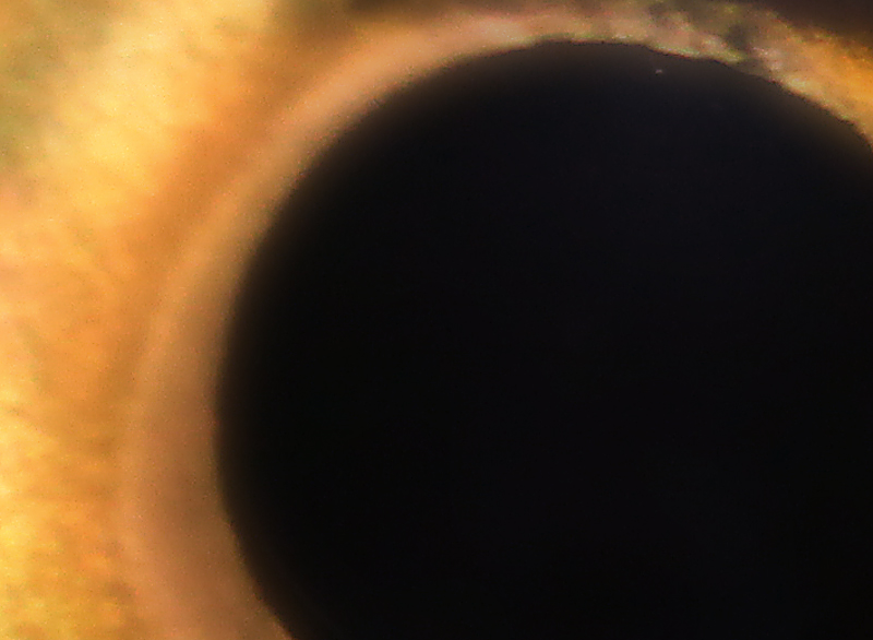 test-071.jpg