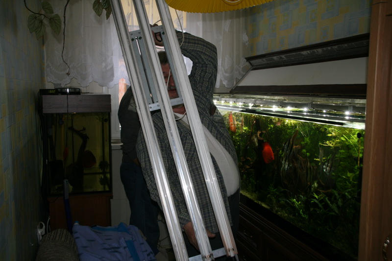 lampa Bogusia.jpg