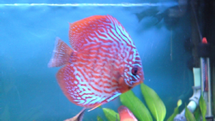 21022010005.JPG