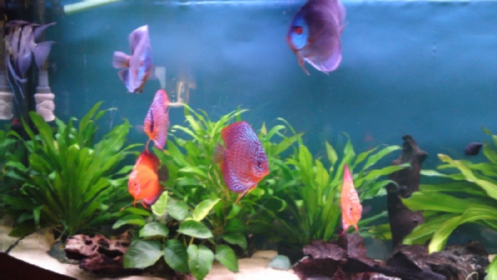 21022010006.JPG