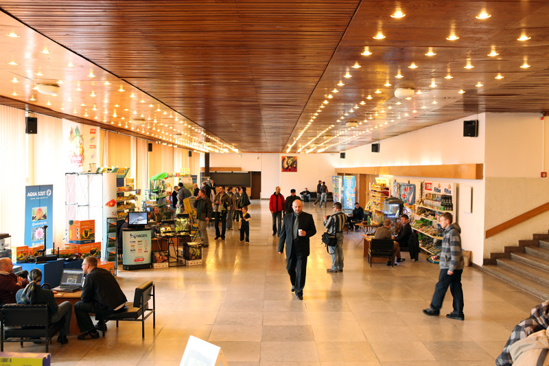Toruń-2010-2.jpg