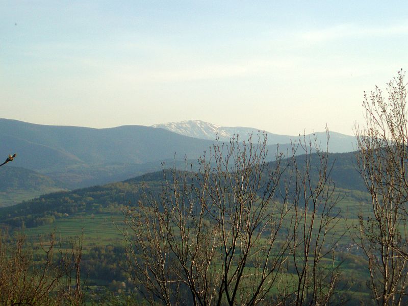 P4299808.jpg