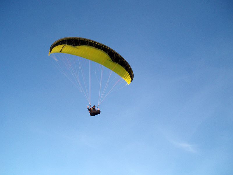 P4299842.jpg