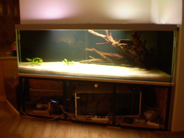 PC100416.JPG