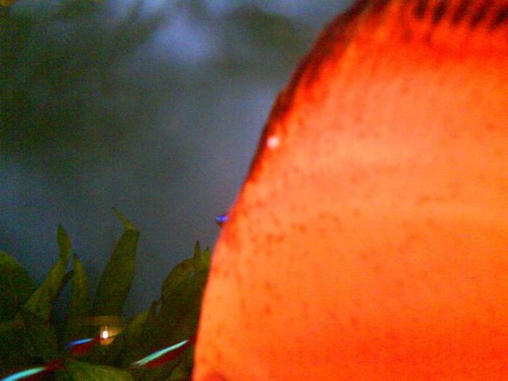 DSC01114.JPG