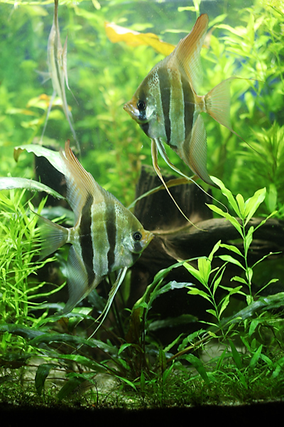 test-665.jpg