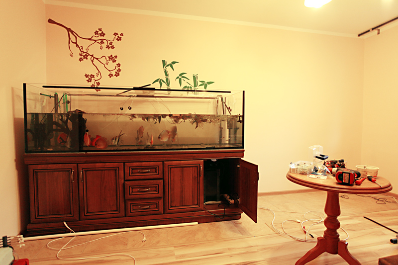 Nowy-domek-I.jpg