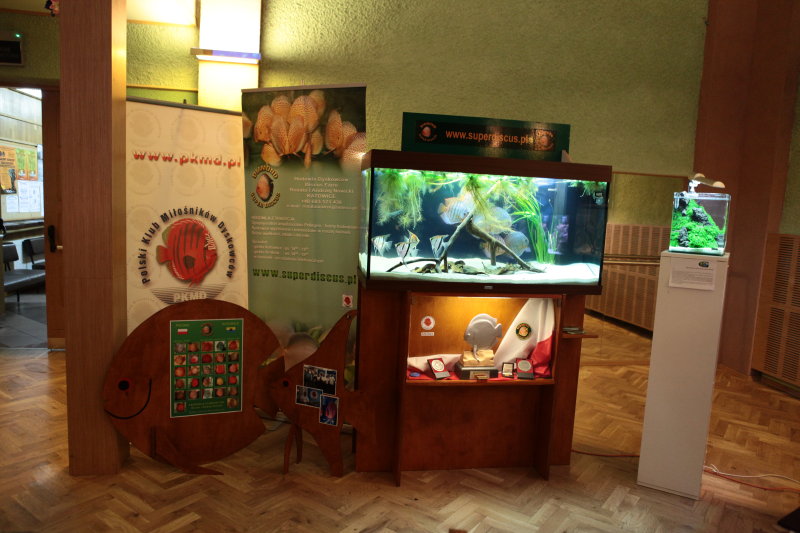 219moja aranzacja-1.JPG