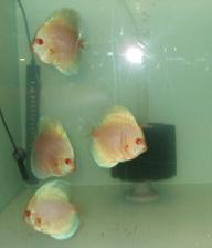 DSCF6405.JPG
