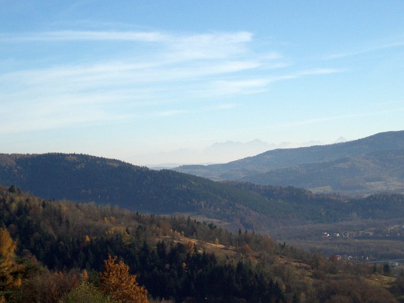 PA302117.jpg