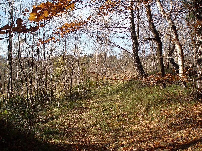 PA302108.jpg