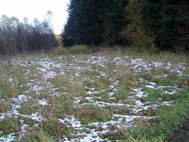 PA302096.jpg
