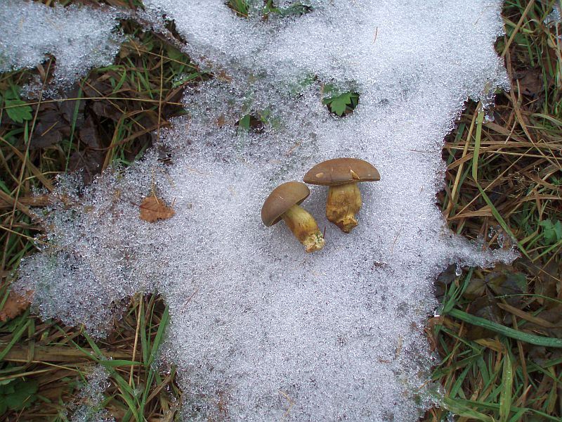 PA302093.jpg