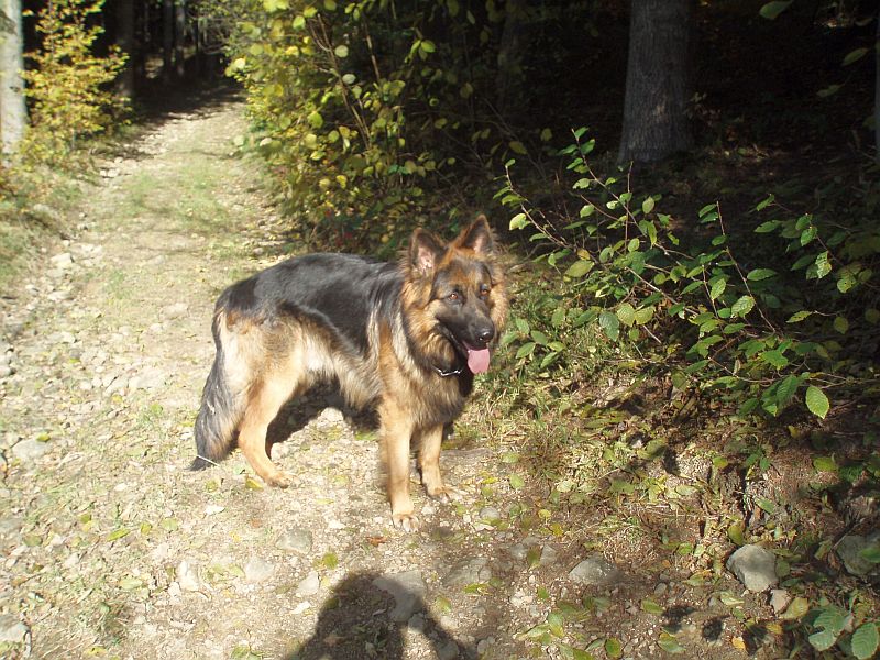 PA302072.jpg