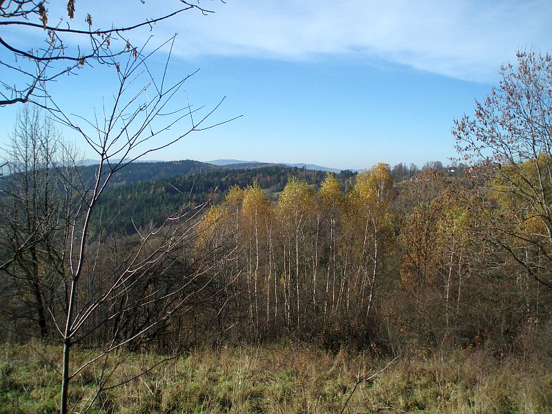 PA302063.jpg