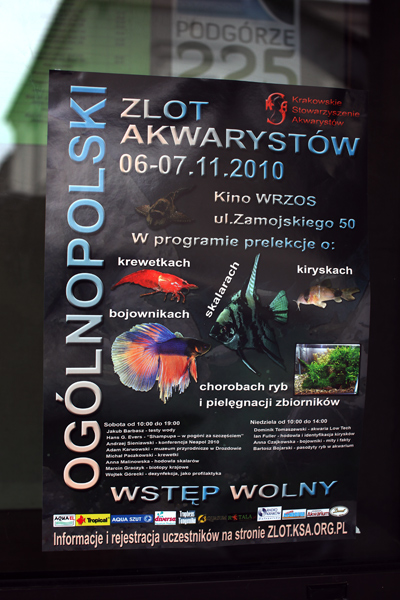 Kraków-0.jpg