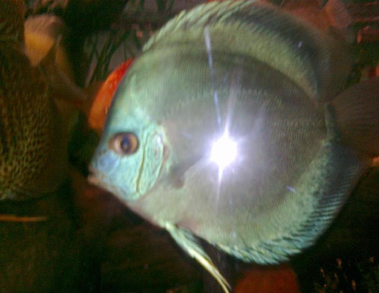 2010142.jpg