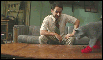fails_gif_05.gif