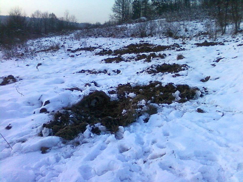 Zdjęcia-0396.jpg