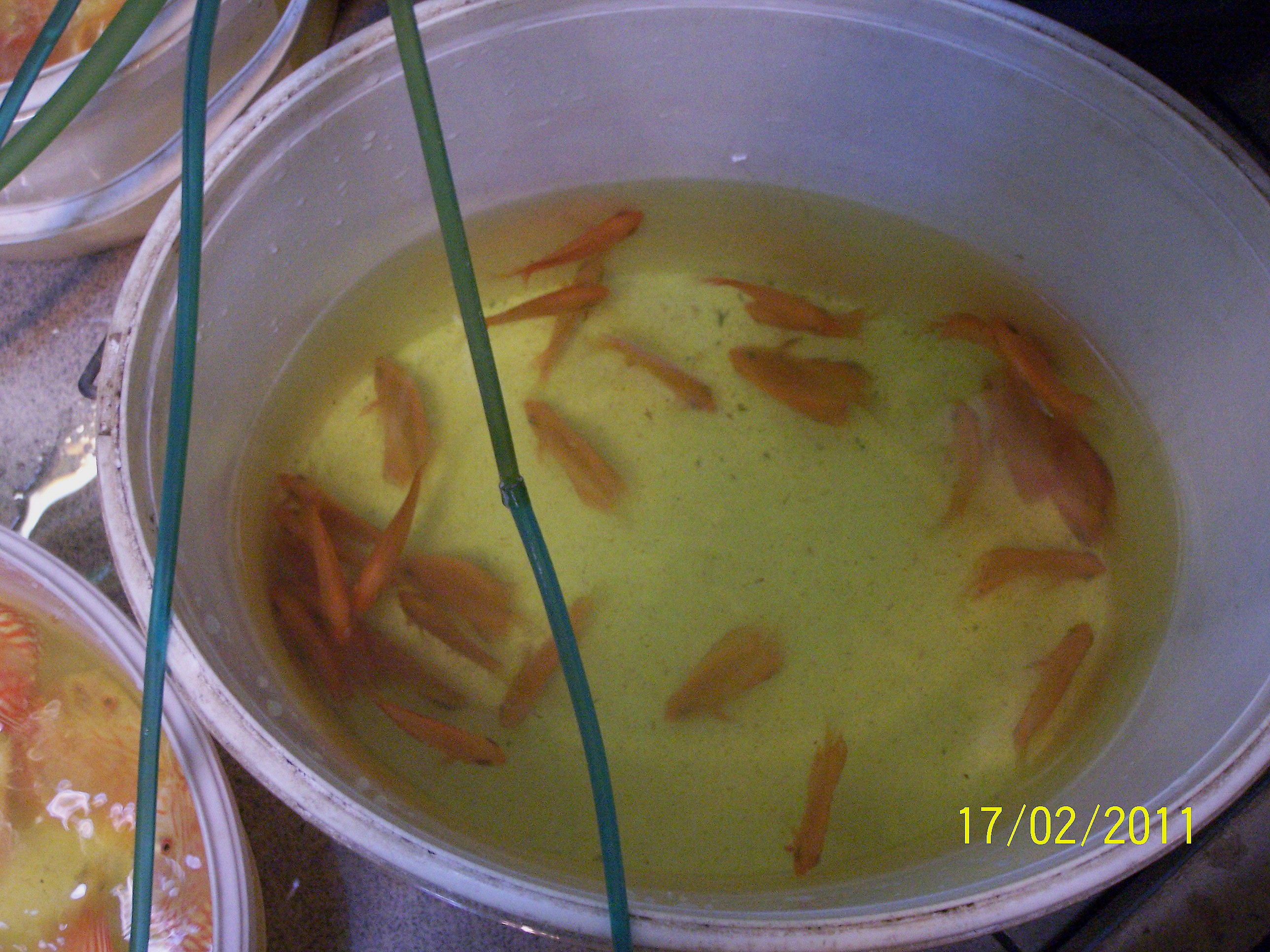 Polskie Klub Miłośników DysKowców 12.jpg