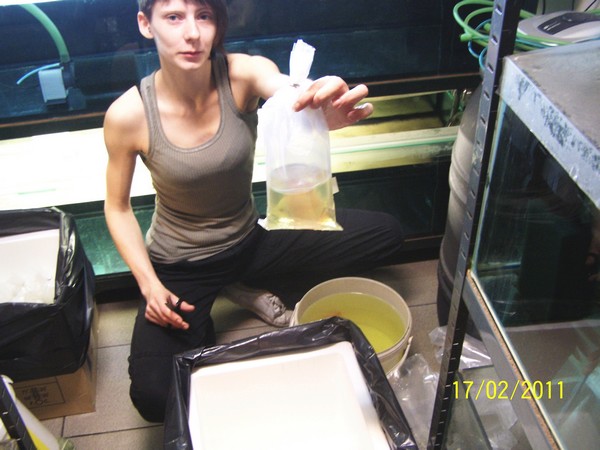 Polskie Klub Miłośników DysKowców 4.jpg