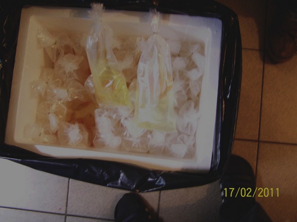 Polskie Klub Miłośników DysKowców 3.jpg