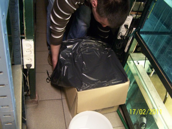 Polskie Klub Miłośników DysKowców 2.jpg