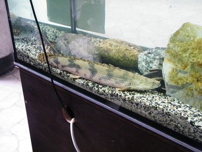 Wystawa 063.jpg