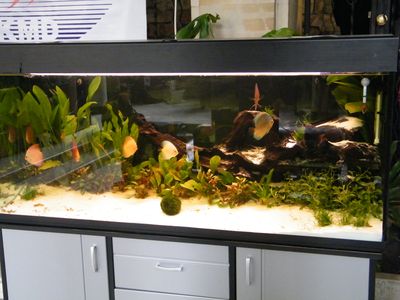 Wystawa 056.jpg
