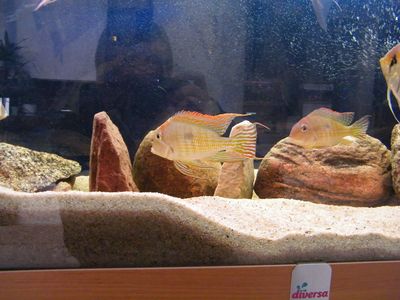 Wystawa 035.jpg