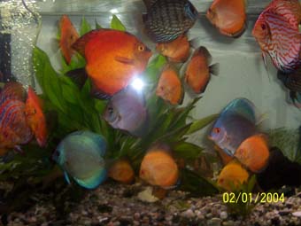 artur 022 1-2 akw.jpg