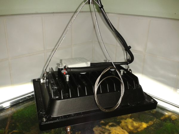 led1.jpg