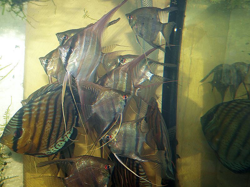 P4123174.JPG