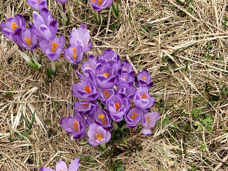 IMG_6436.JPG
