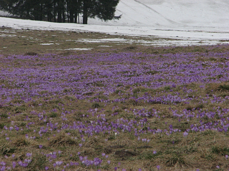 IMG_6418.JPG