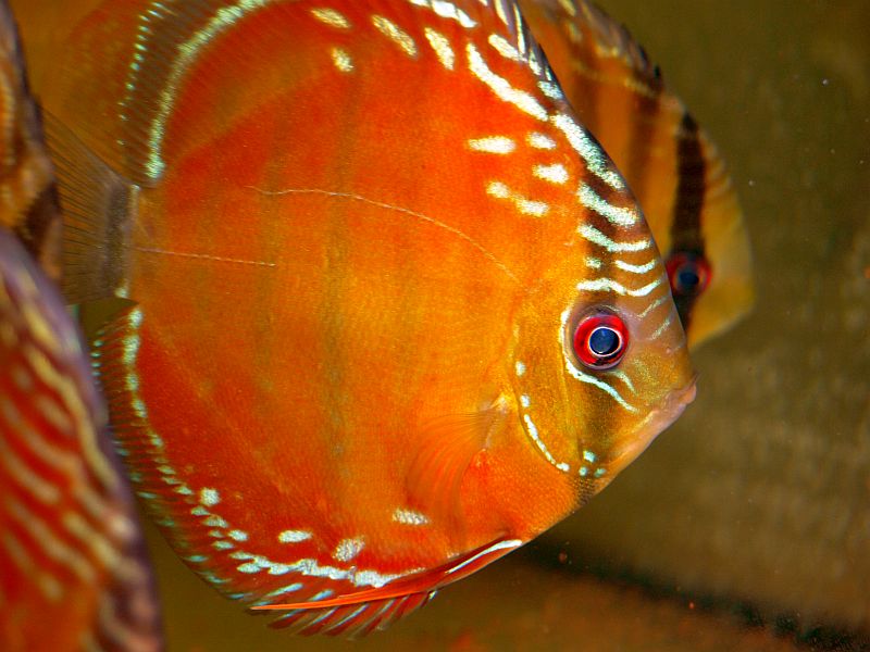 P4253261.JPG