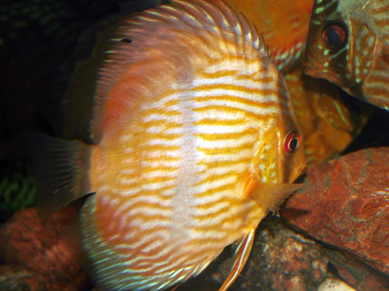 P8043904.JPG