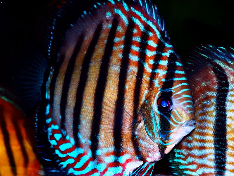 P8254404.JPG