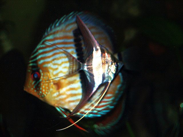 PA084835.JPG
