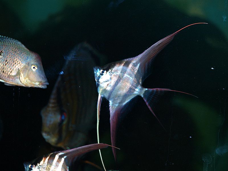 PA084836.JPG