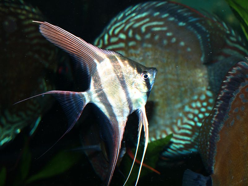 PA305311.JPG