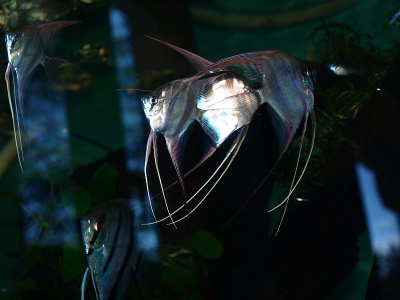 PA305359.JPG