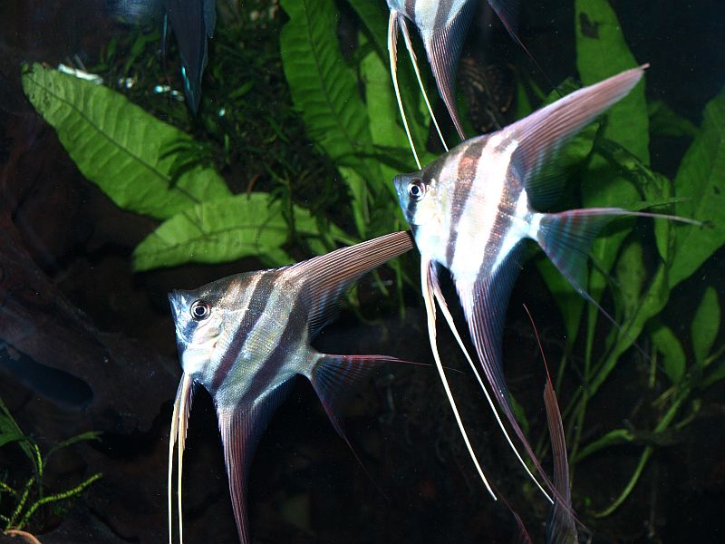 PA305365.JPG