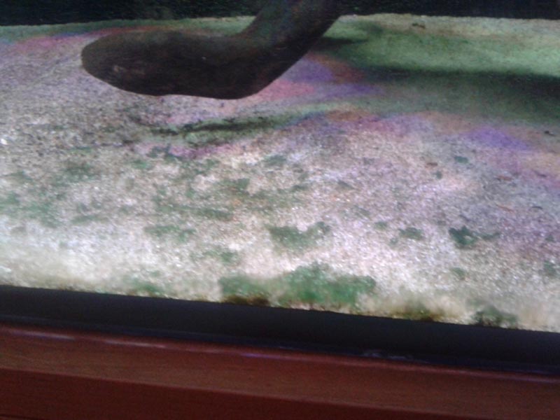 20140113_184444.jpg