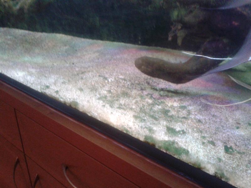 20140113_184458.jpg
